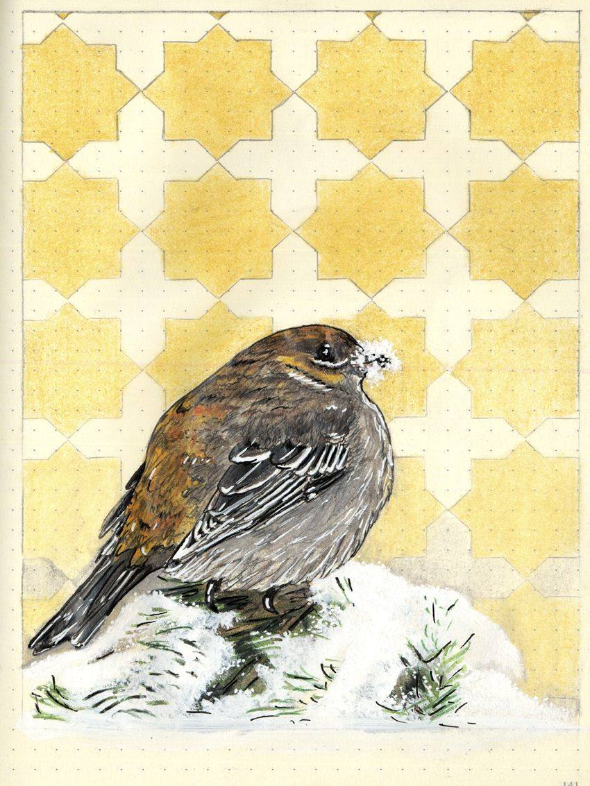 Sparrow, an original colored pencil and mixed media artwork by Michael Lombardi