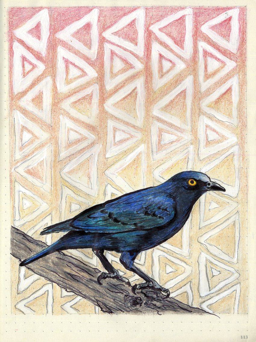 Starling, an original colored pencil and mixed media artwork by Michael Lombardi