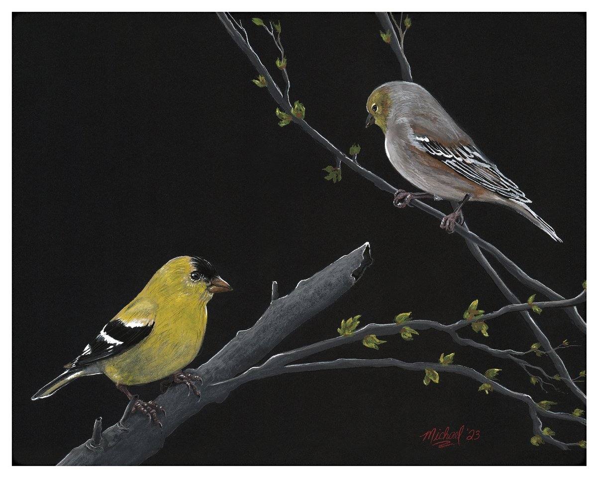 Goldfinch Pair, an original artwork on black paper by Michael Lombardi