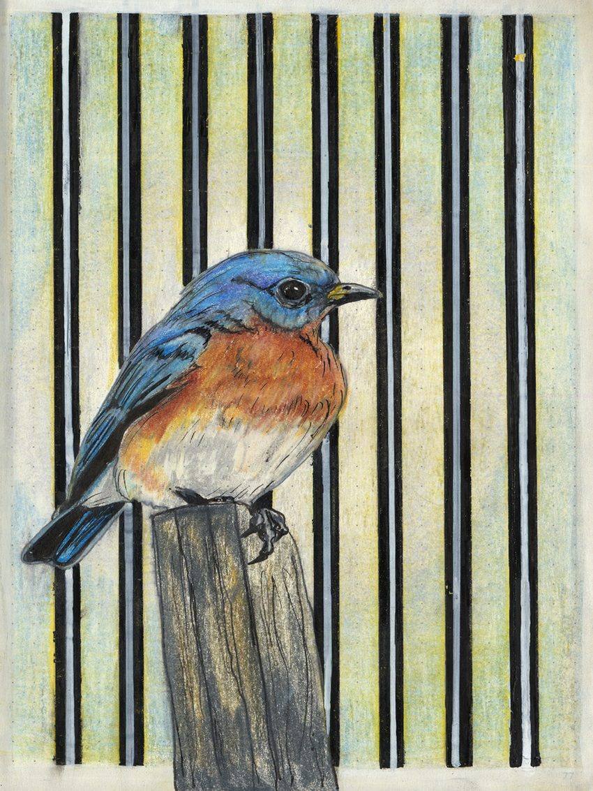 Bluebird, an original colored pencil and mixed media artwork by Michael Lombardi