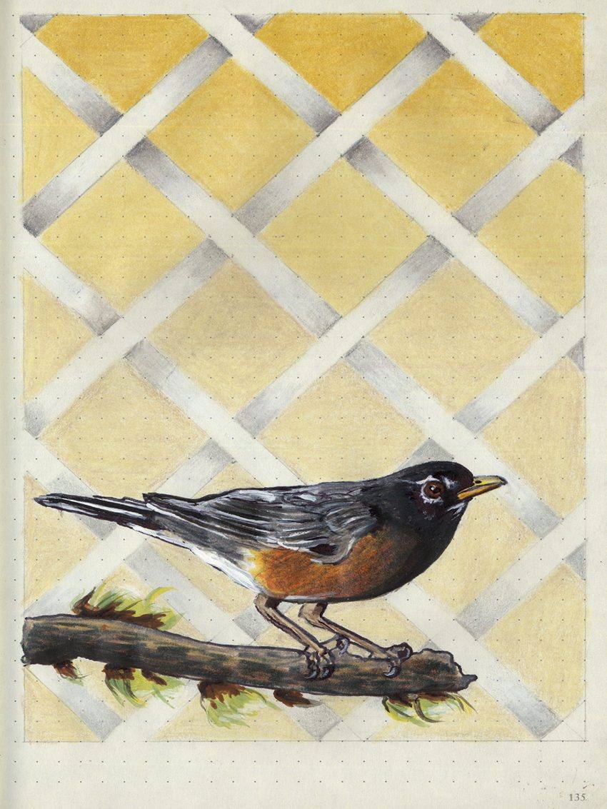 Robin, an original colored pencil and mixed media artwork by Michael Lombardi