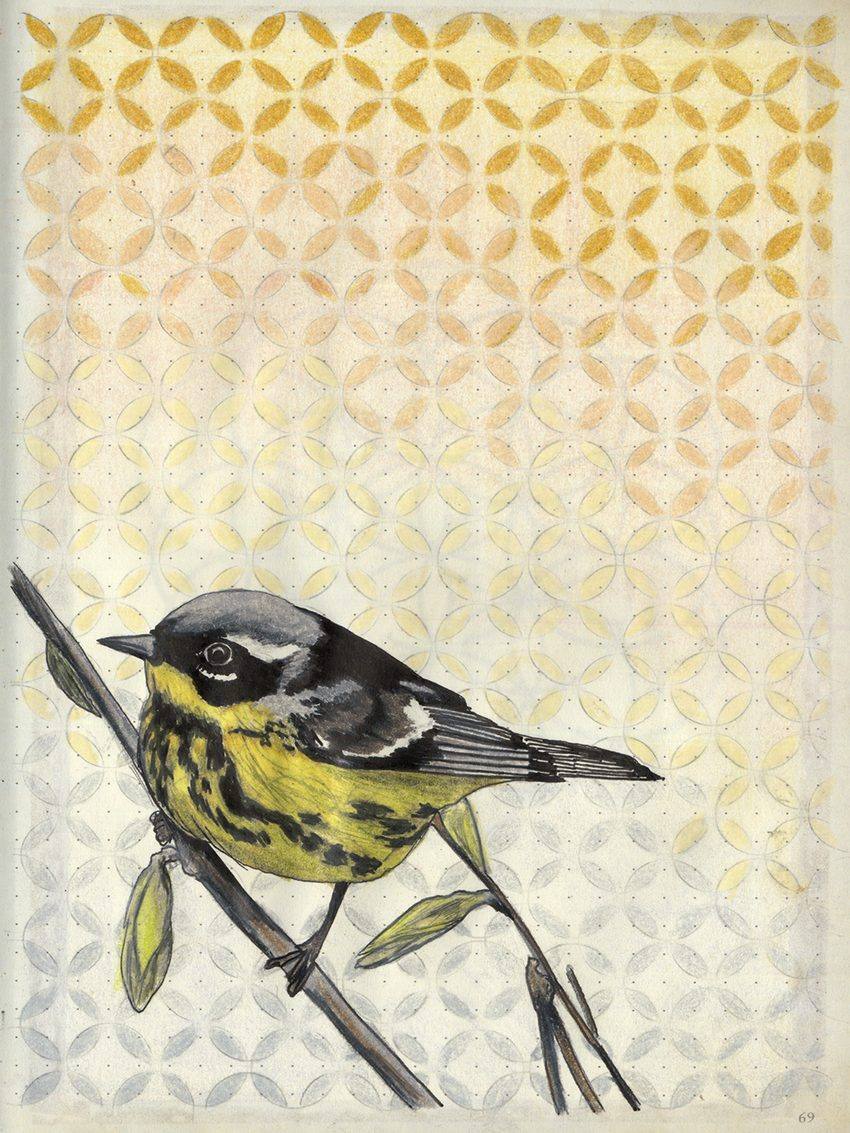 Warbler, an original colored pencil and mixed media artwork by Michael Lombardi