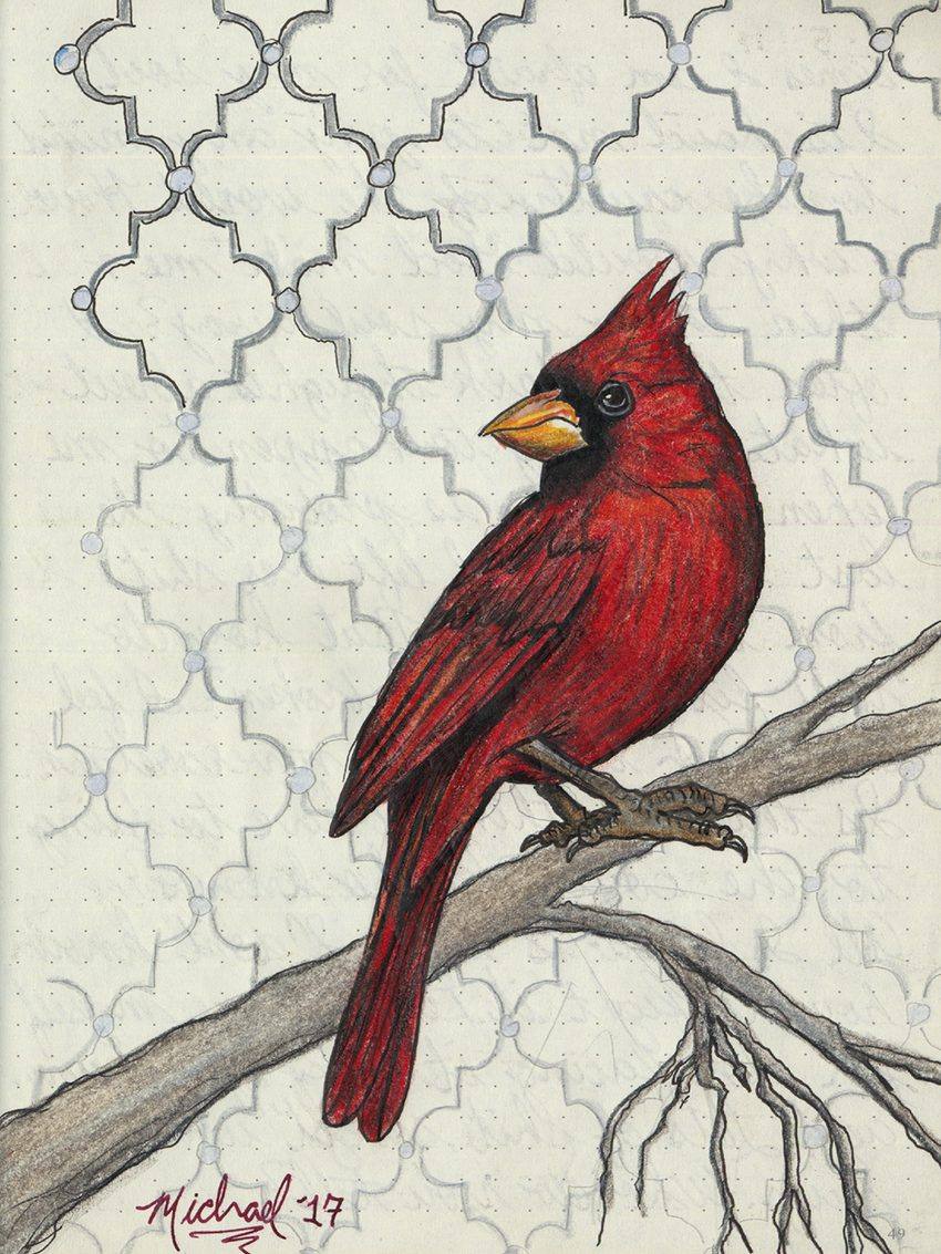Cardinal, an original colored pencil and mixed media artwork by Michael Lombardi